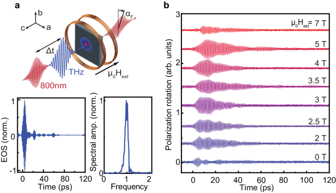 Magnon-phonon Fermi resonance in antiferromagnetic CoF2 - Nature Communications