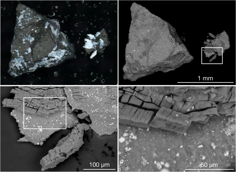 Asteroid Bennu sample: A 4-panel composite showing different samples of gray rock.